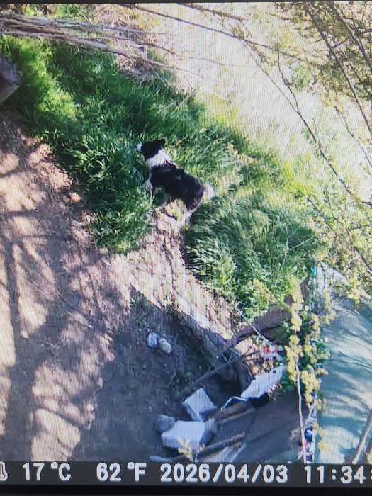 ファイル 2605-2.jpg