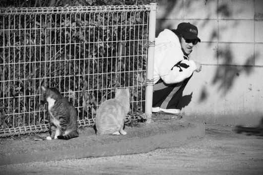 ファイル 2610-1.jpg