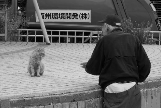 ファイル 2611-2.jpg