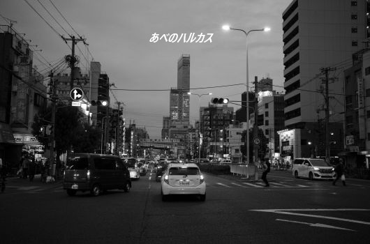 ファイル 2613-2.jpg