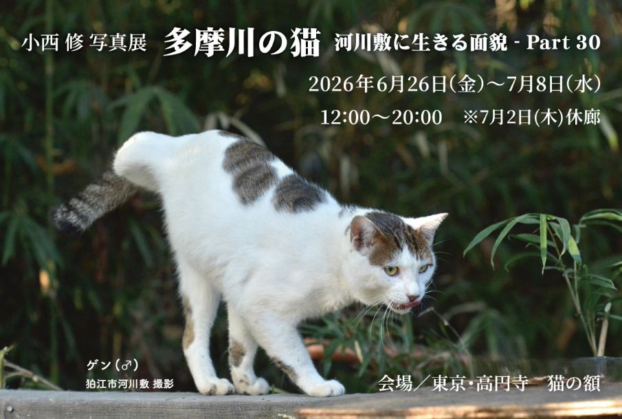 ファイル 2634-1.jpg