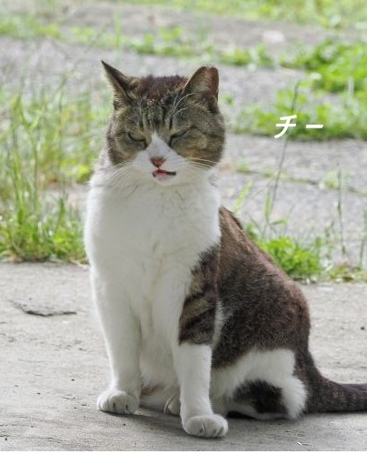 ファイル 2659-2.jpg