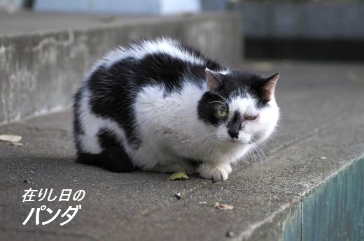 ファイル 2662-2.jpg