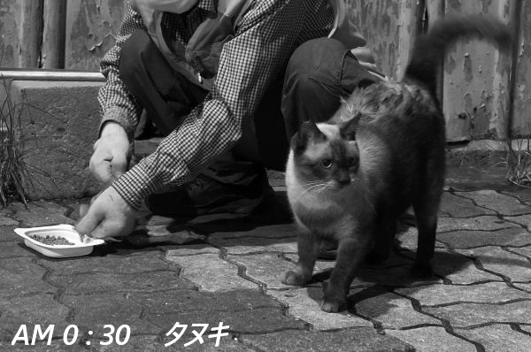 ファイル 2669-1.jpg