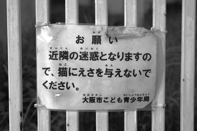 ファイル 2669-2.jpg