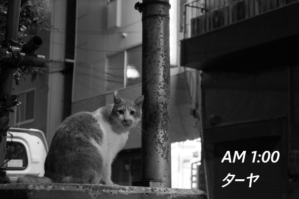 ファイル 2669-4.jpg