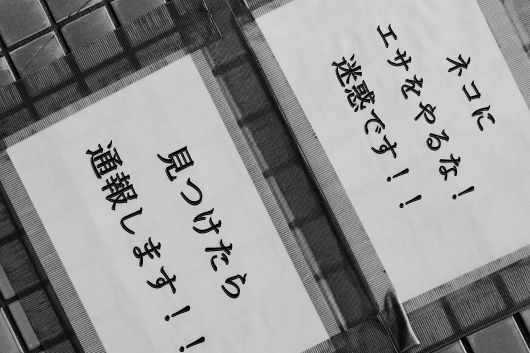 ファイル 2671-3.jpg