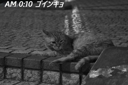 ファイル 2672-1.jpg