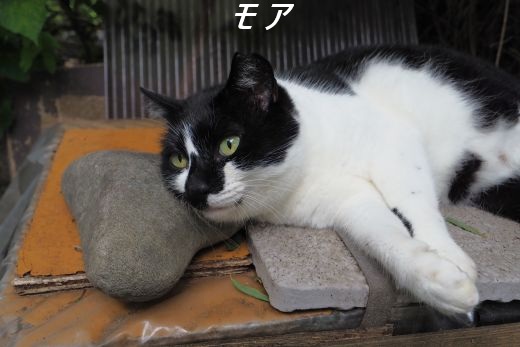 ファイル 2680-2.jpg